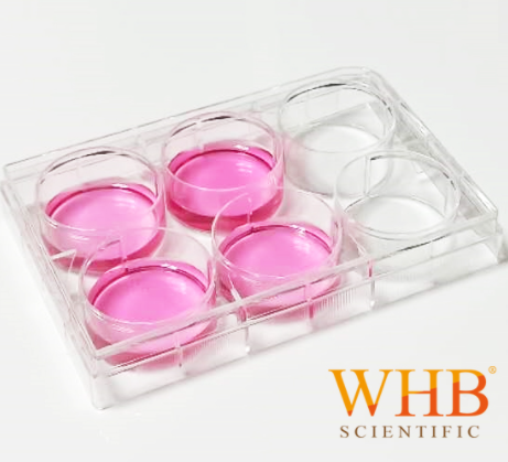 細(xì)胞培養(yǎng)板 Cell Culture Plates
