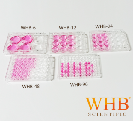 細(xì)胞培養(yǎng)板 Cell Culture Plates