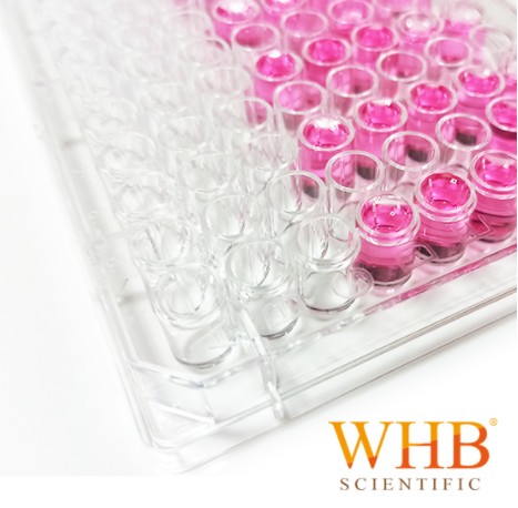 細(xì)胞培養(yǎng)板 Cell Culture Plates