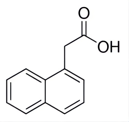 1-萘乙酸 NBS1641-50ML.jpg