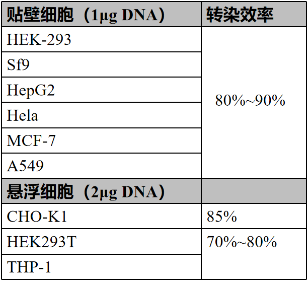 圖1.png