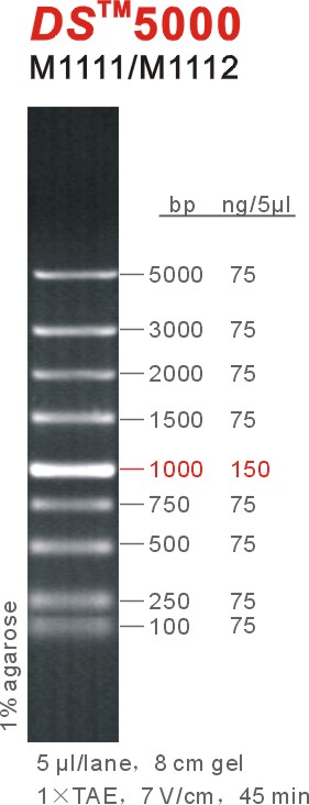 DNA Marker DS5000(M1111-M1112).jpg