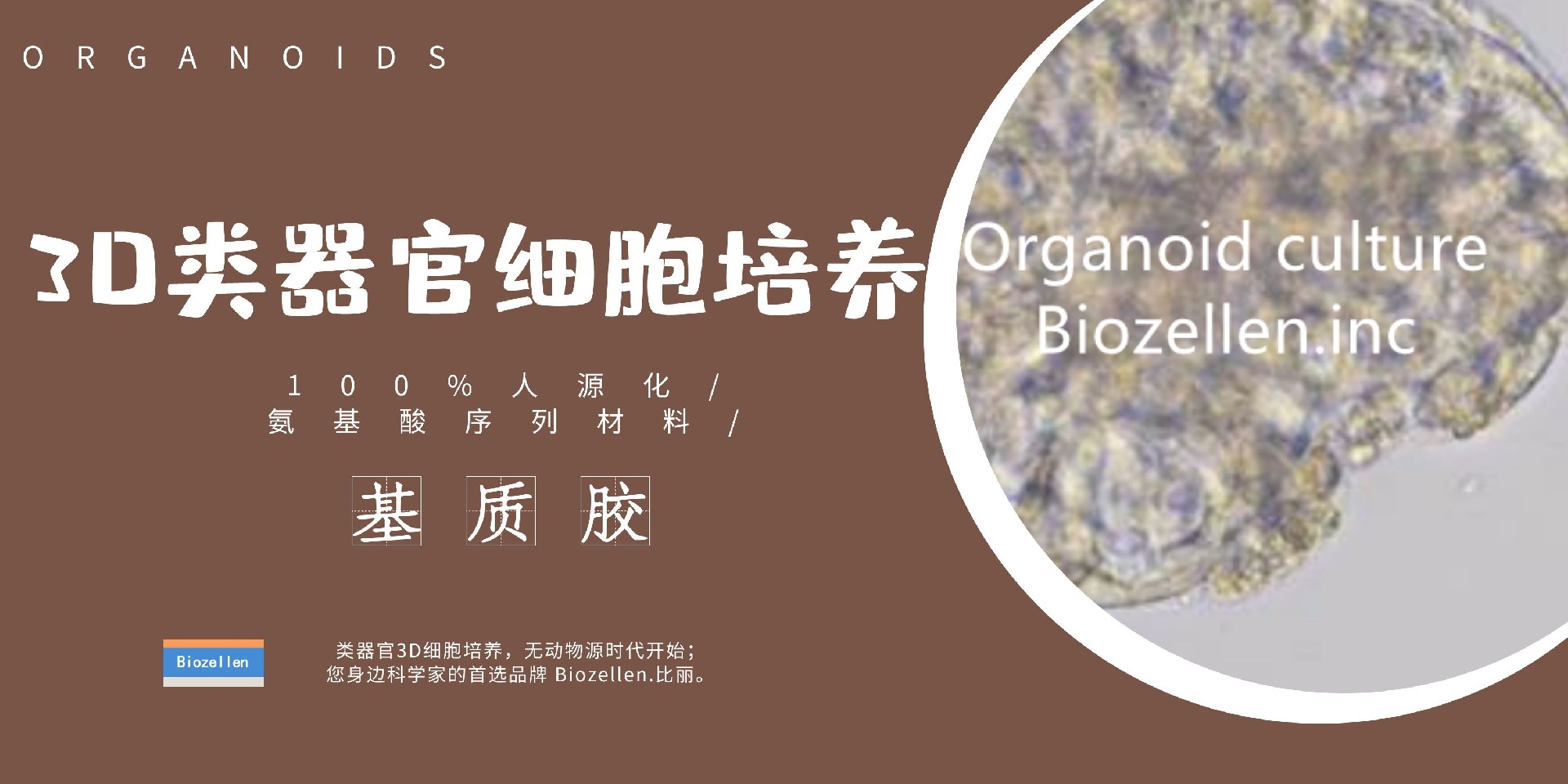 B-P-00003   Biozellen?3D類器官培養(yǎng)基質(zhì)膠套裝 一.jpg