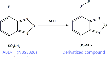 （BNBS5826）   ABD-F (Thiol Dye) 巰基染料 圖1.png
