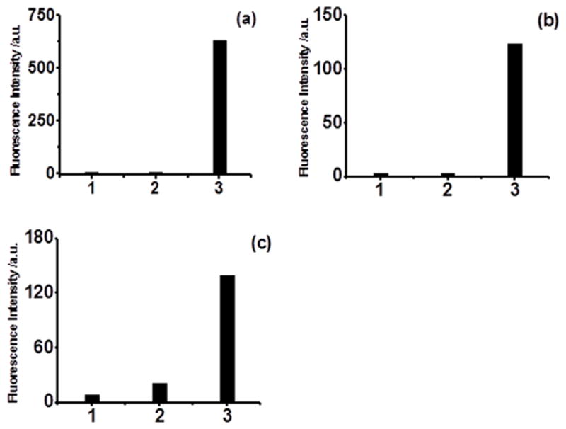 硫化氫（H2S）熒光探針產(chǎn)品專題 圖2.jpg