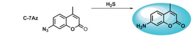 硫化氫（H2S）熒光探針產(chǎn)品專題 圖4.png