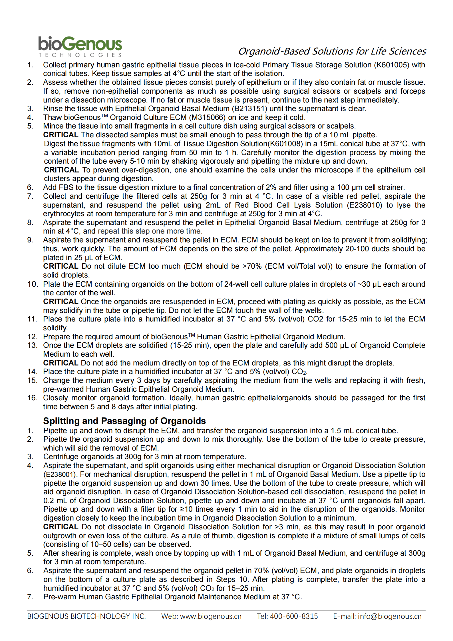 人胃上皮（無(wú)血清）-K2004-HG_01.png